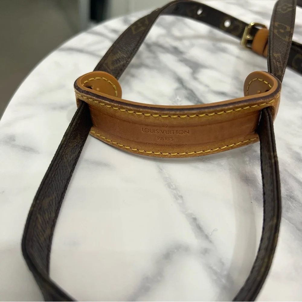 Vintage Louis Vuitton | Danube PM Monogram Crossbody Bag - Picture 7 of 14